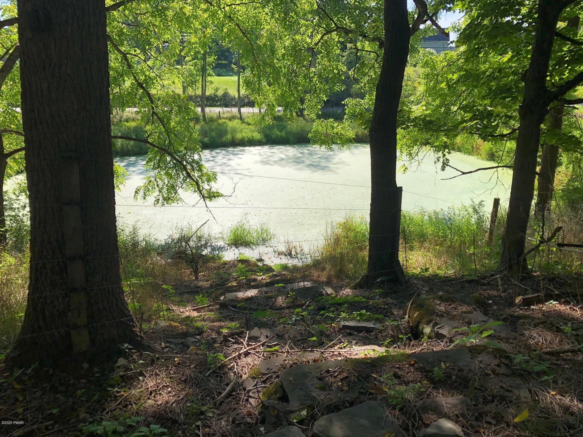 57 Cemetery Road Damascus, PA 18415 - Photo 18 of 24 pond