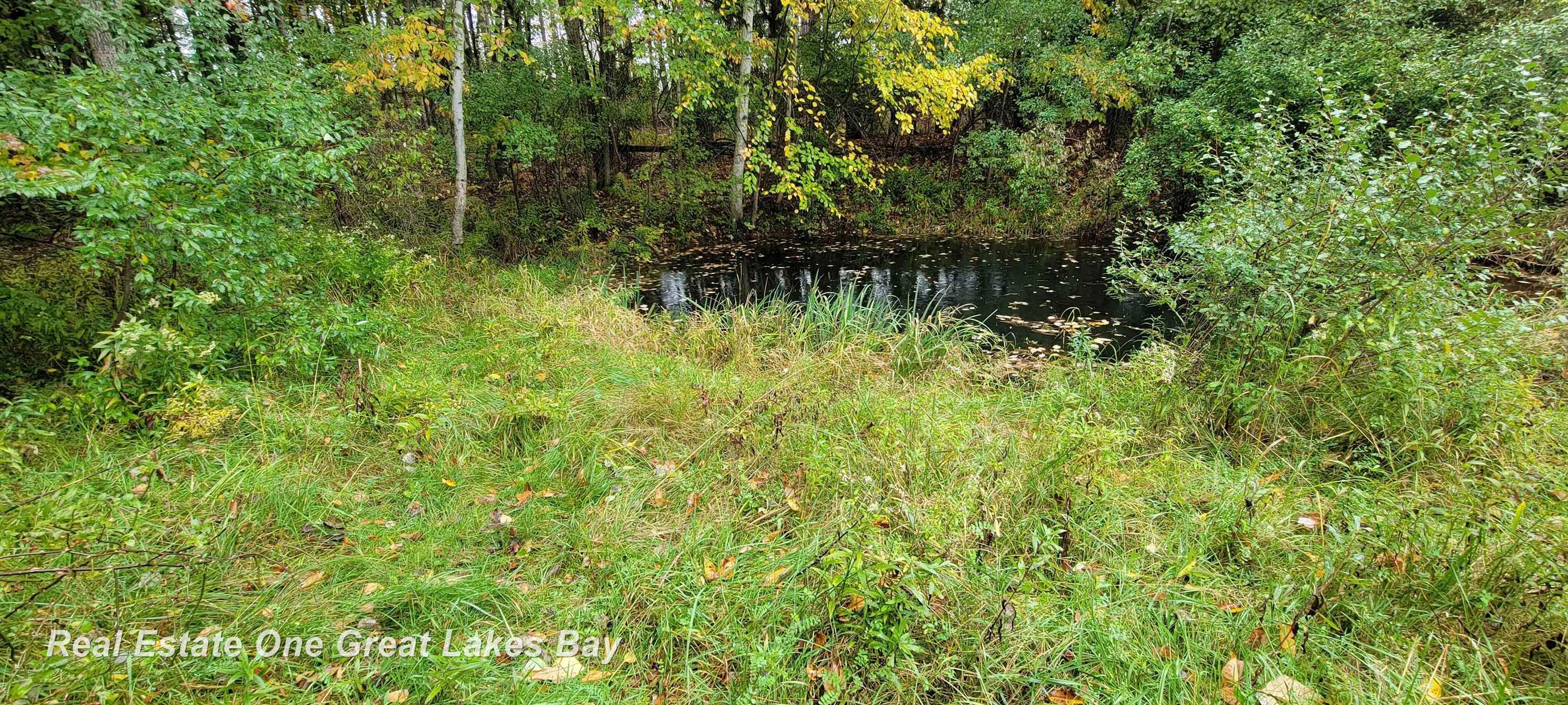 13799 Beaver Road St. Charles, MI 48655 - Photo 48 of 76