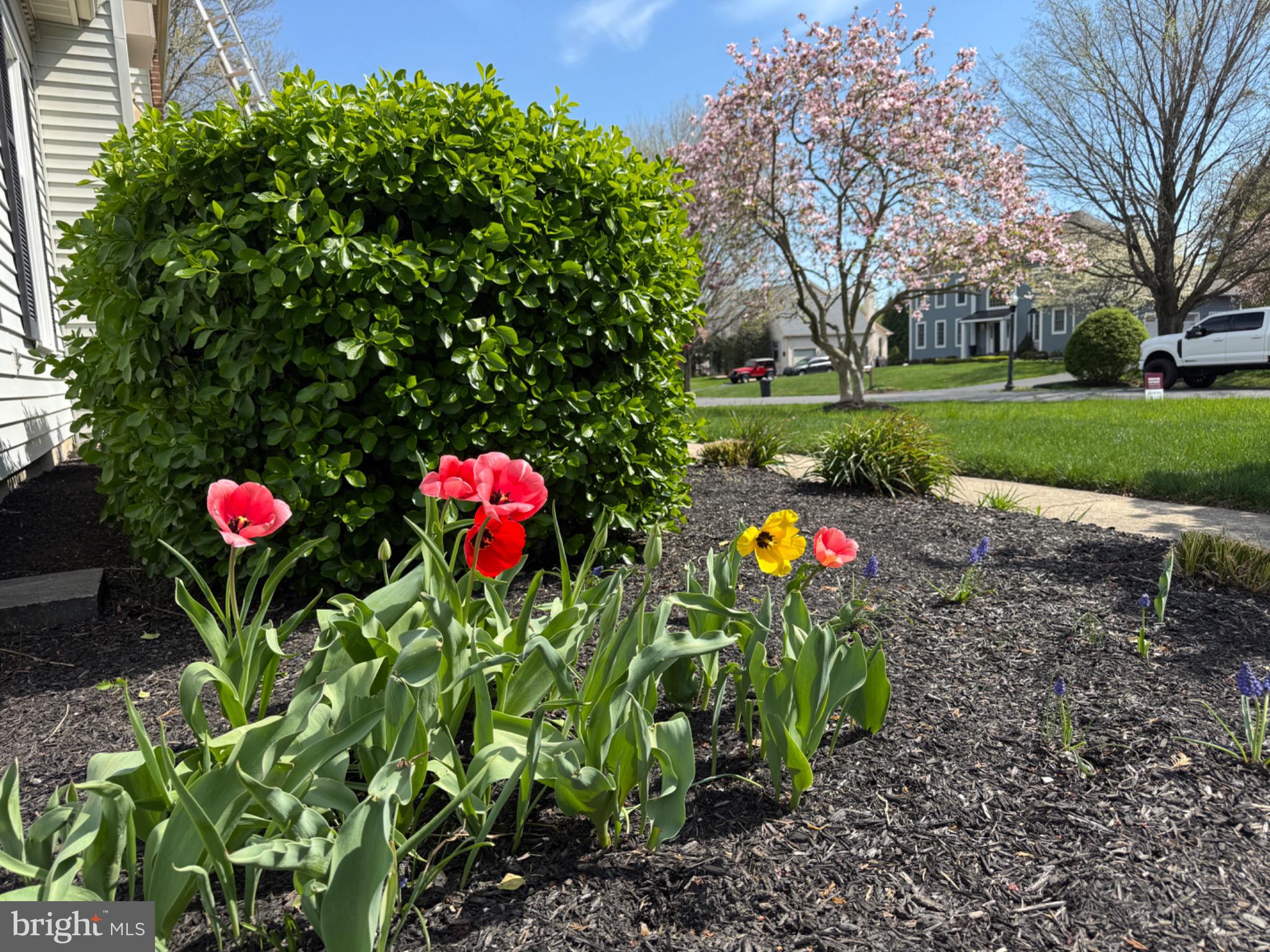 8 Bayberry Close Newark, DE 19711 - Photo 63 of 63 Vibrant blooms greet spring's arrival.