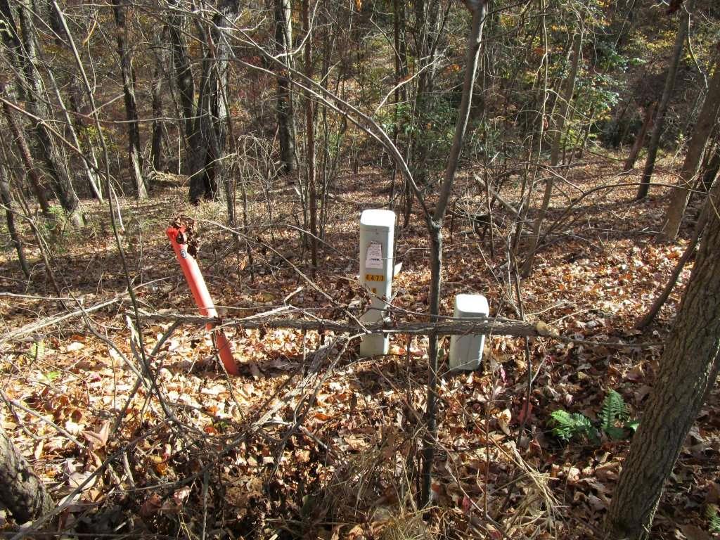 136 Lakeview Way Baldwin, GA 30511 - Photo 11 of 13 a backyard of a house with lots of green space