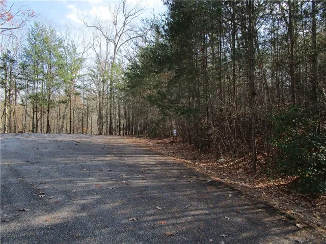 a view of a yard with trees