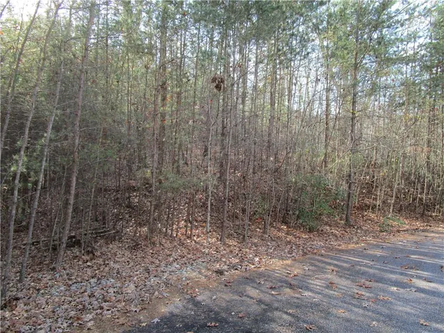 a view of a yard with trees in the background