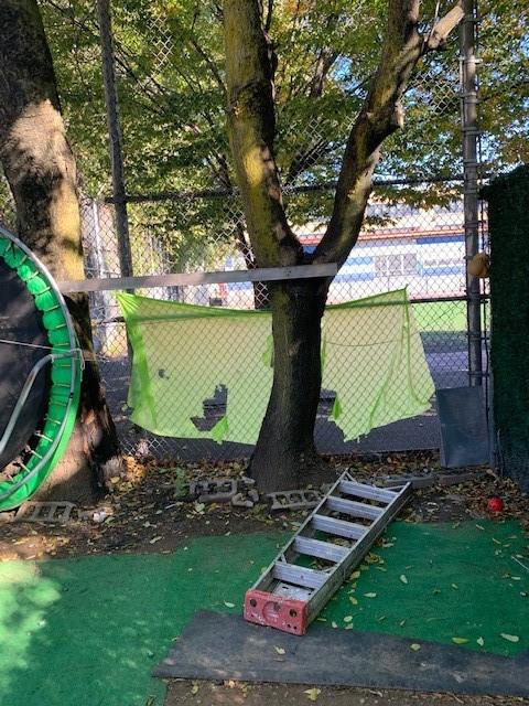 1129 Broadway Brooklyn, NY 11221 - Photo 4 of 15 a view of a garden