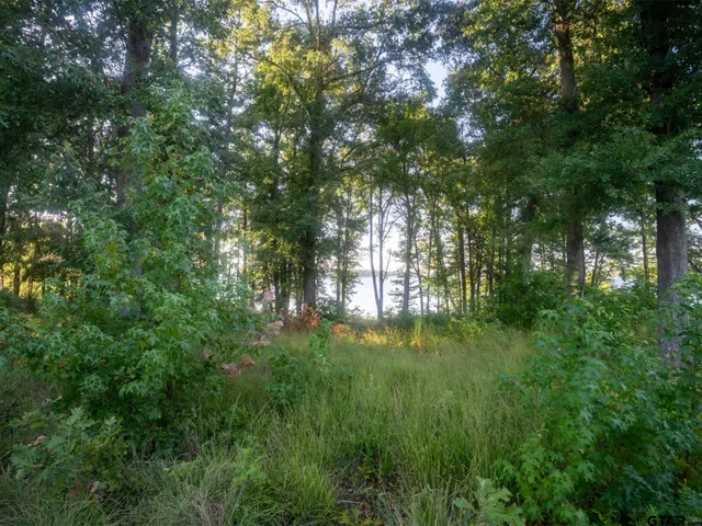 $460,000 | Lot 16 North N Prairie, Leesburg, TX 75451