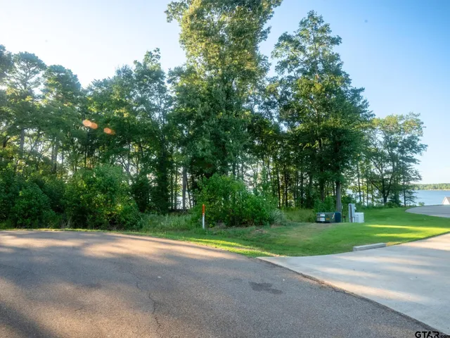 a view of a yard with a house in the background