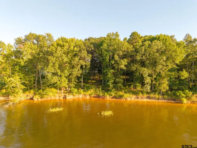 $460,000 | Lot 16 North N Prairie, Leesburg, TX 75451