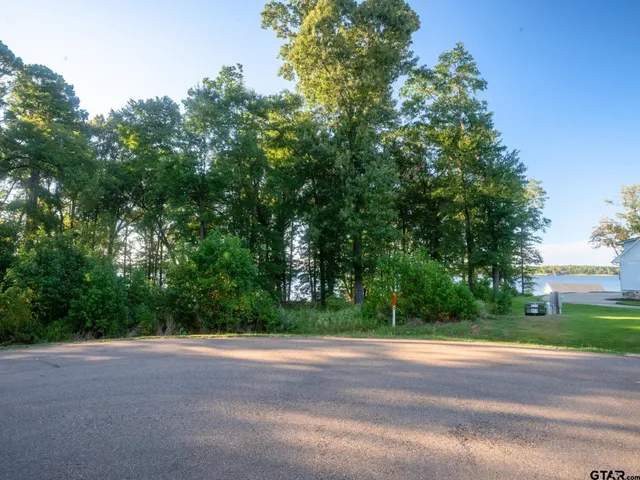 $460,000 | Lot 16 North N Prairie, Leesburg, TX 75451