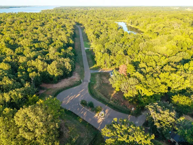 $460,000 | Lot 16 North N Prairie, Leesburg, TX 75451