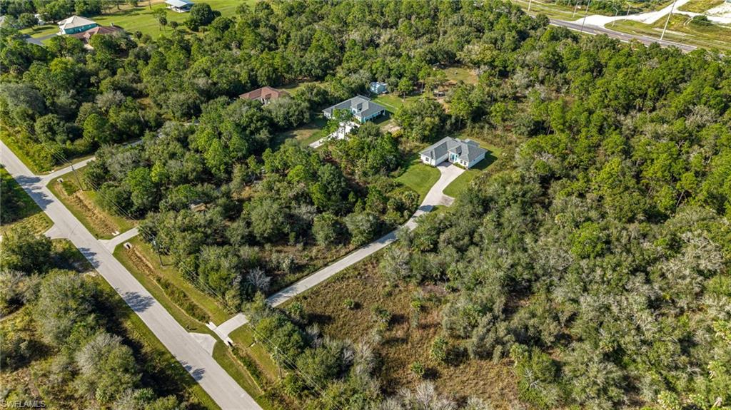 2793 72nd Avenue Northeast Naples, FL 34120 - Photo 46 of 50 a view of a forest with a tree