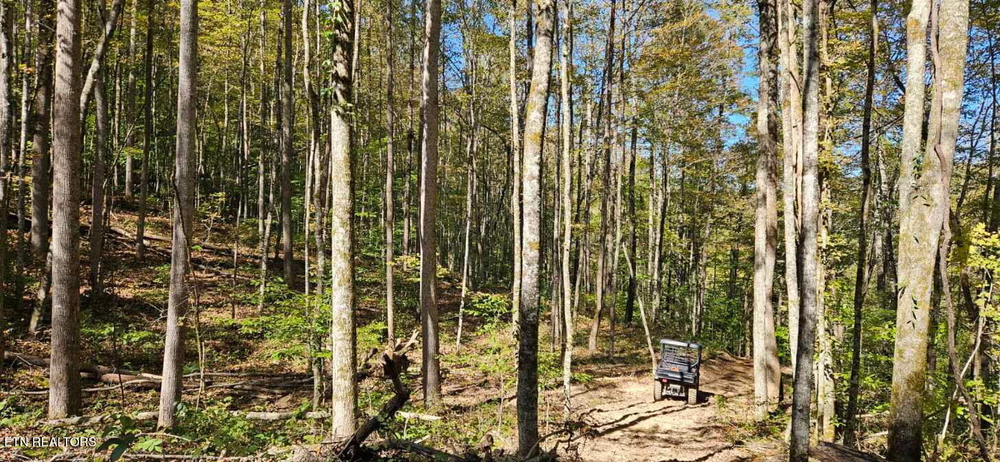 Bunch Hollow Property