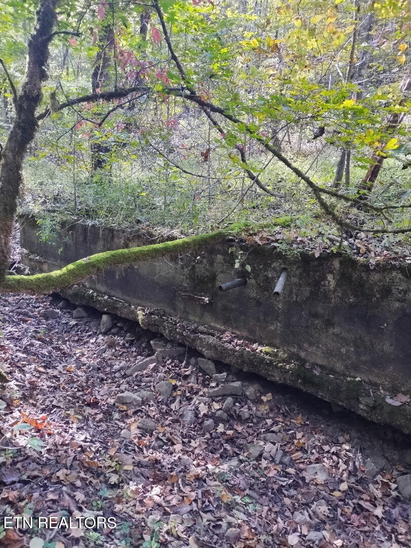 Bunch Hollow Road New Tazewell, TN 37825 - Photo 12 of 17 Bunch Hollow Property