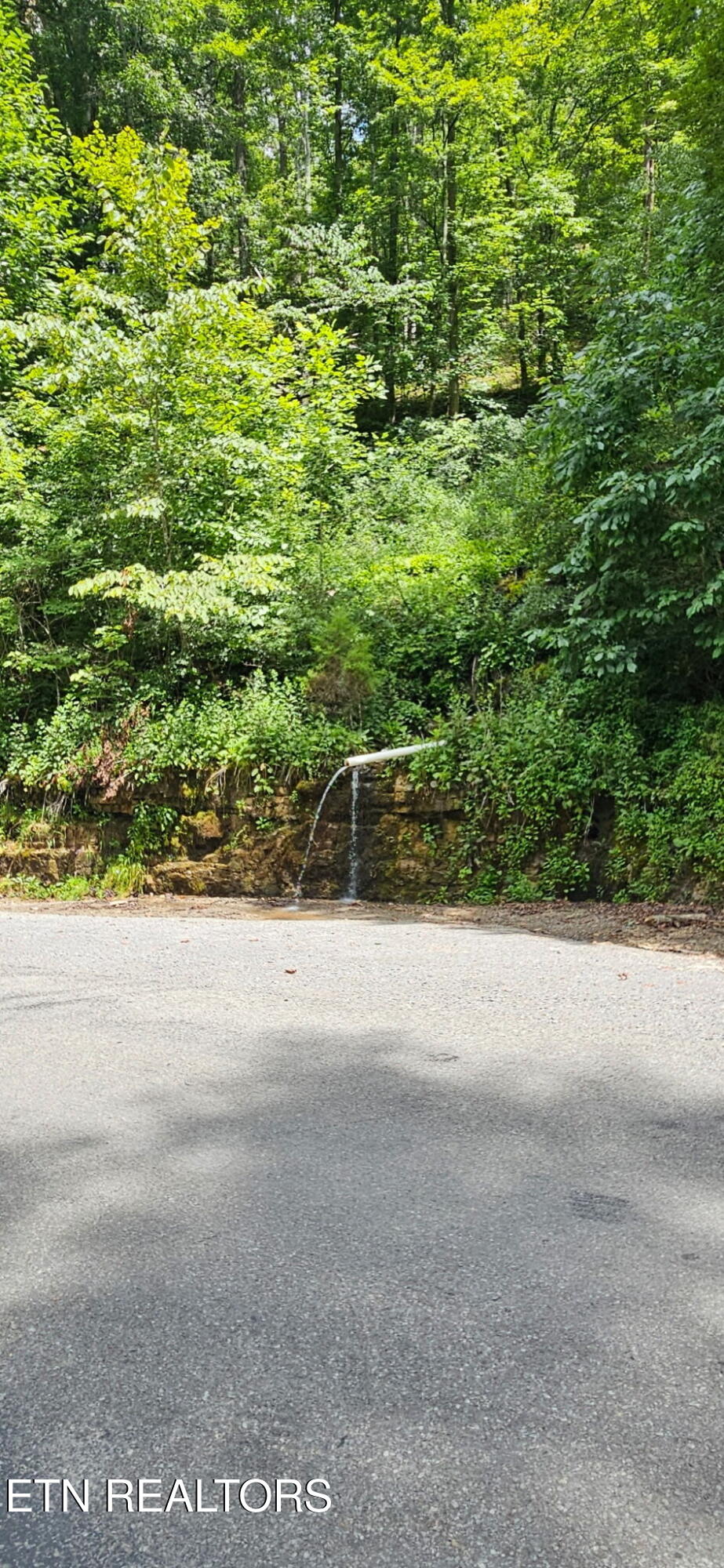 Bunch Hollow Road New Tazewell, TN 37825 - Photo 14 of 17 Bunch Hollow Property