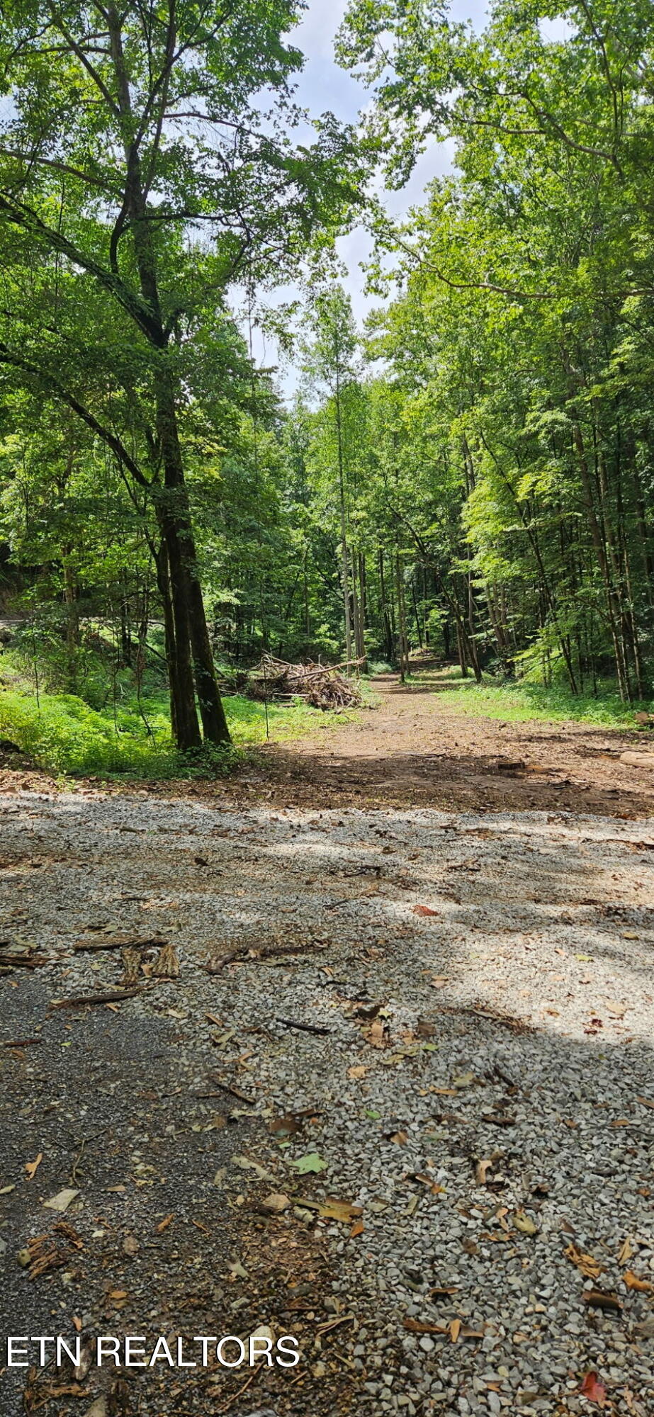 Bunch Hollow Road New Tazewell, TN 37825 - Photo 15 of 17 Bunch Hollow Property
