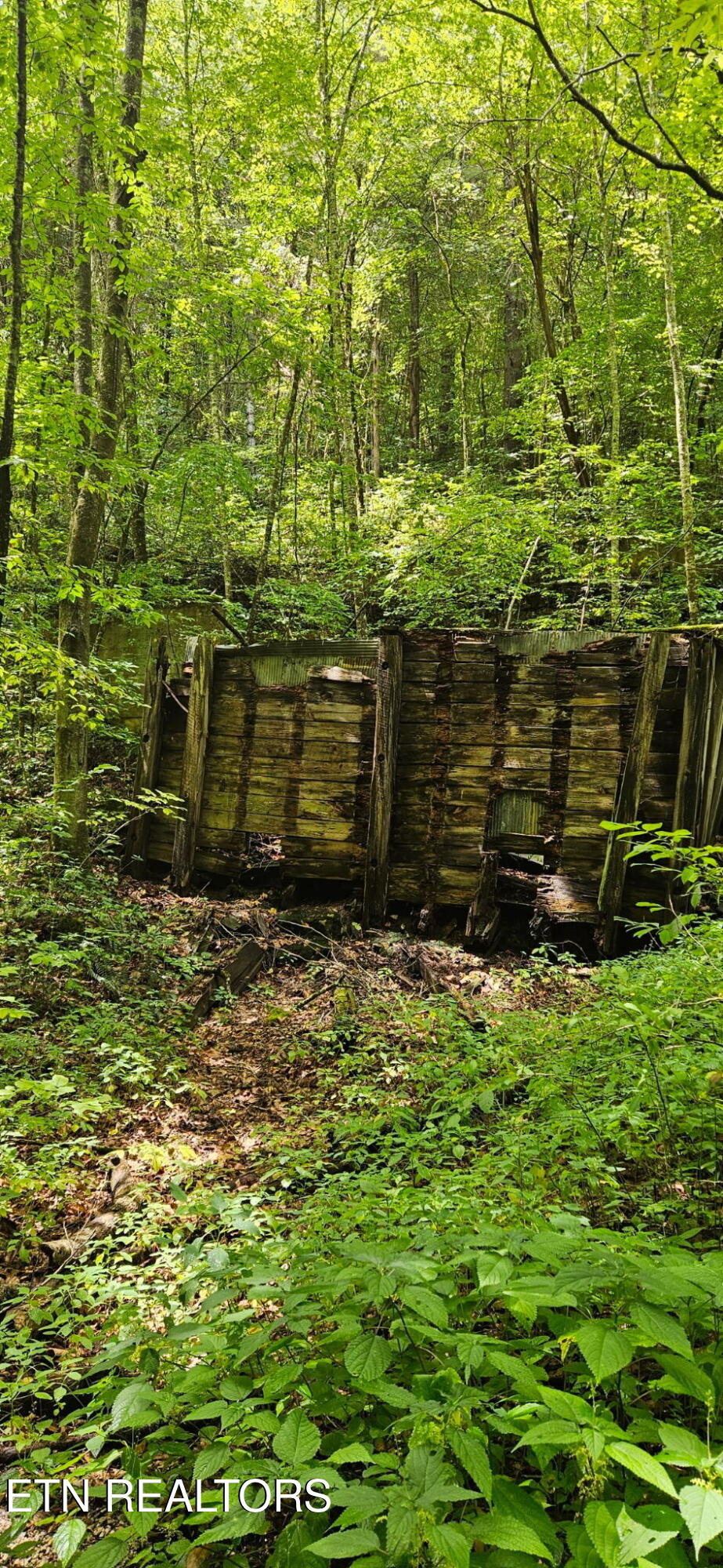 Bunch Hollow Road New Tazewell, TN 37825 - Photo 17 of 17 Bunch Hollow Property