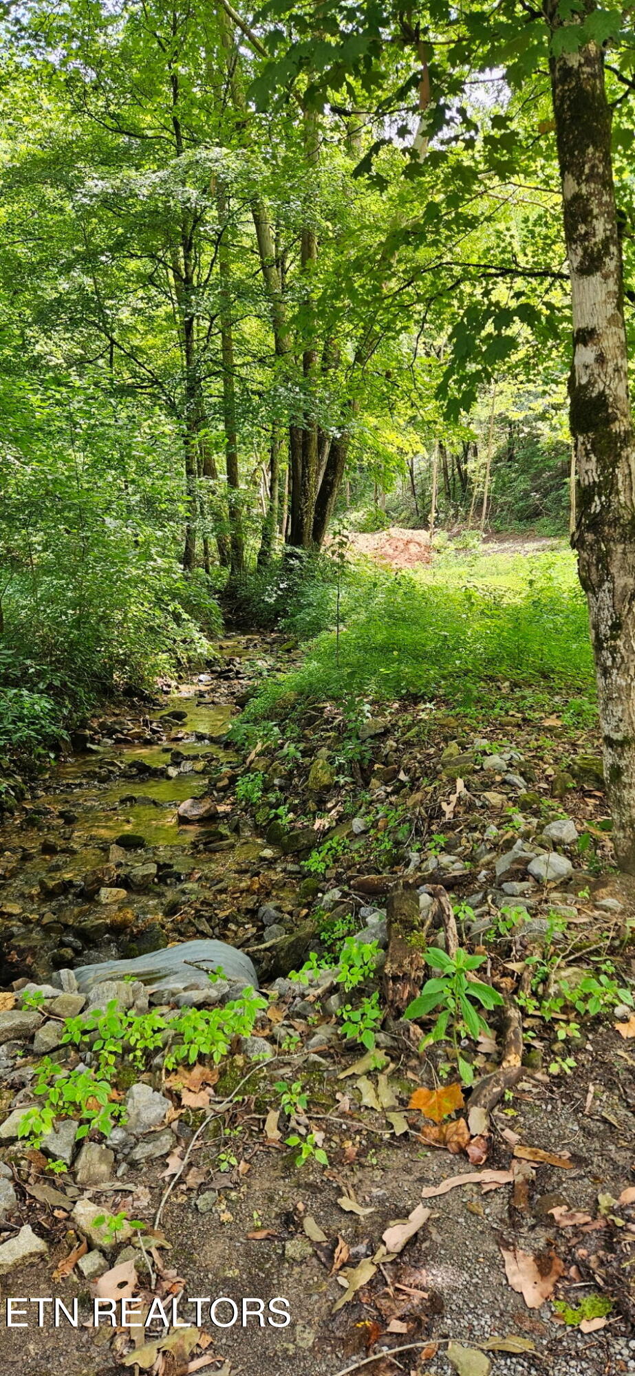 Bunch Hollow Road New Tazewell, TN 37825 - Photo 5 of 17 Bunch Hollow Property