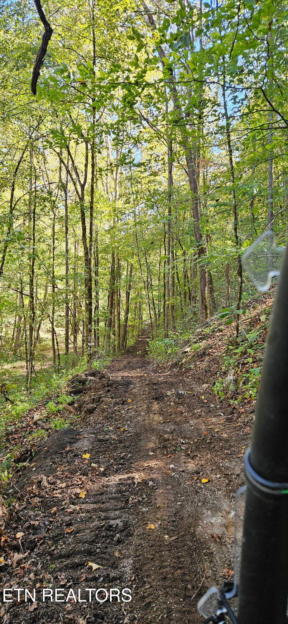 Bunch Hollow Road New Tazewell, TN 37825 - Photo 10 of 17 Bunch Hollow Property