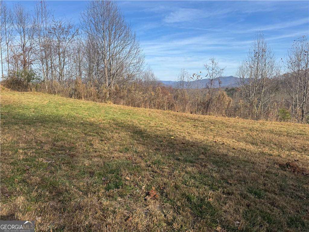 33 Chatuge Manor Road Young Harris, GA 30582 - Photo 11 of 18 a view of an outdoor space and a yard