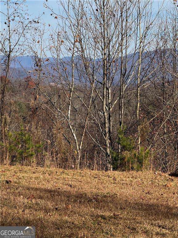 33 Chatuge Manor Road Young Harris, GA 30582 - Photo 15 of 18 a view of large trees with yard