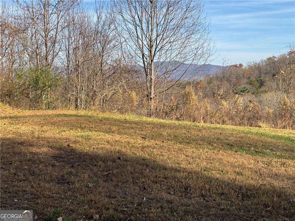 33 Chatuge Manor Road Young Harris, GA 30582 - Photo 18 of 18 a view of yard with large trees