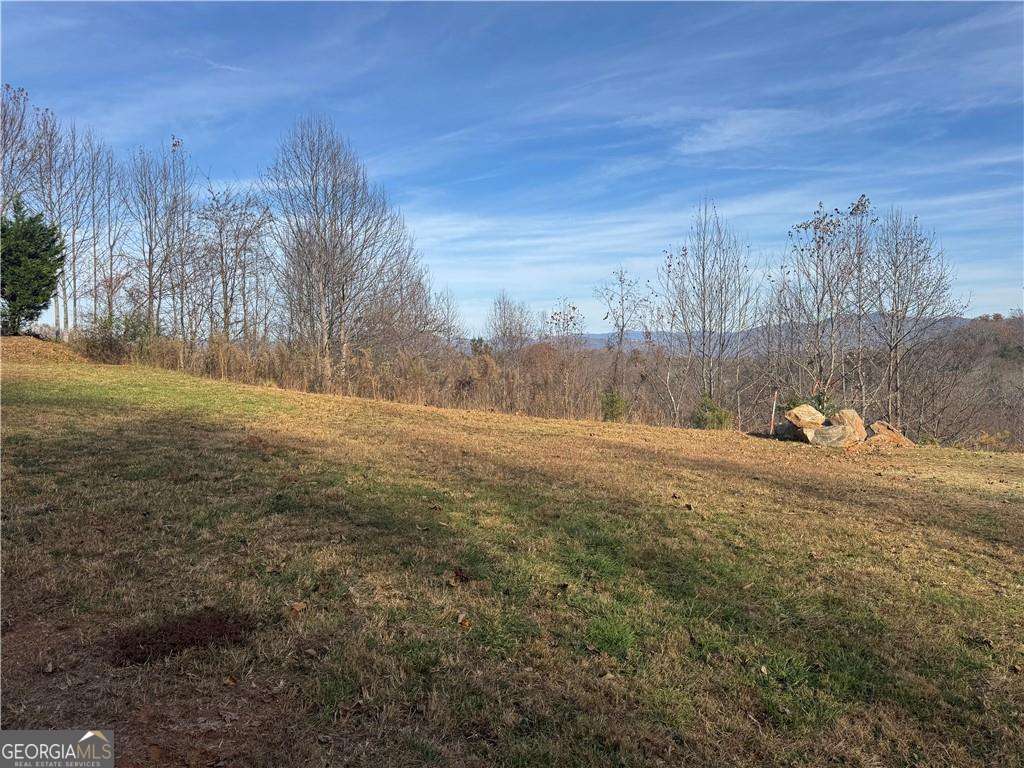 33 Chatuge Manor Road Young Harris, GA 30582 - Photo 3 of 18 a view of a yard
