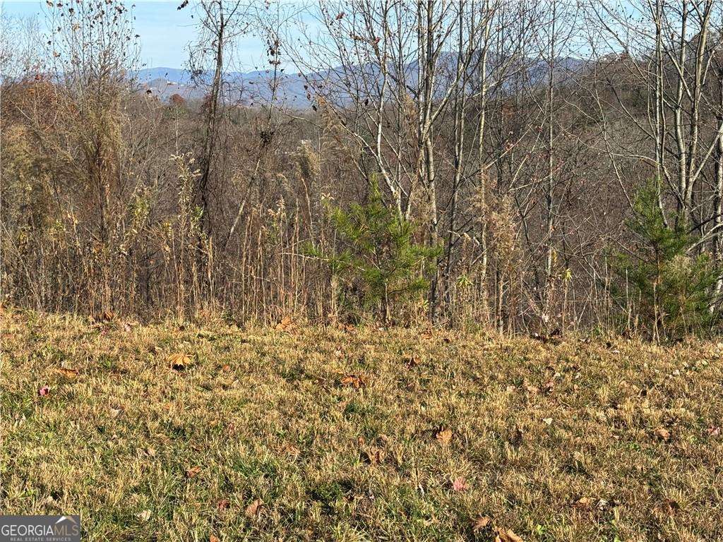 33 Chatuge Manor Road Young Harris, GA 30582 - Photo 5 of 18 a view of a yard with trees