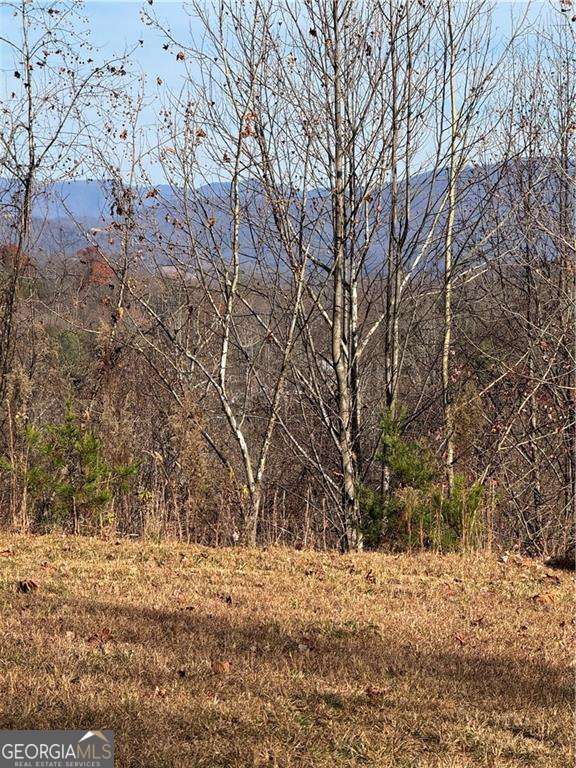 33 Chatuge Manor Road Young Harris, GA 30582 - Photo 9 of 18 a view of large trees with yard