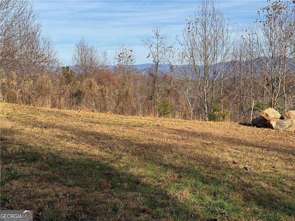 33 Chatuge Manor Road Young Harris, GA 30582 - Photo 10 of 18