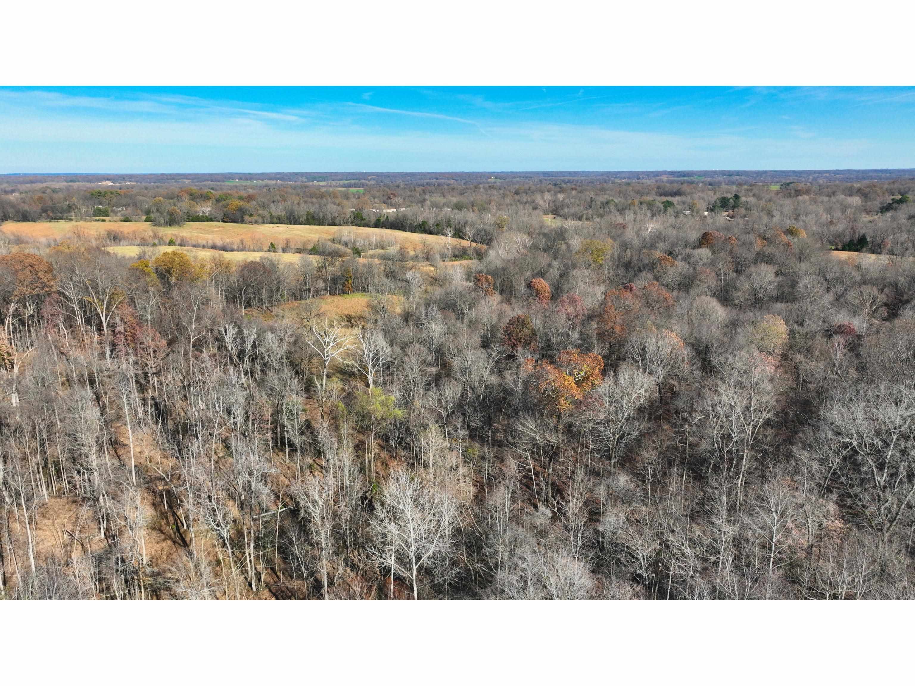Munford Giltedge Road Burlison, TN 38015 - Photo 5 of 16