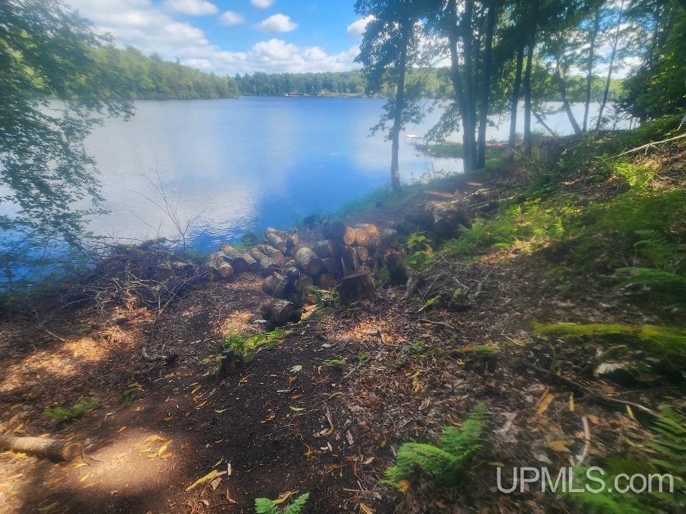 Tbd West Tamarack Lake Road, Unit LOT 5 Watersmeet, MI 49969 - Photo 29 of 66