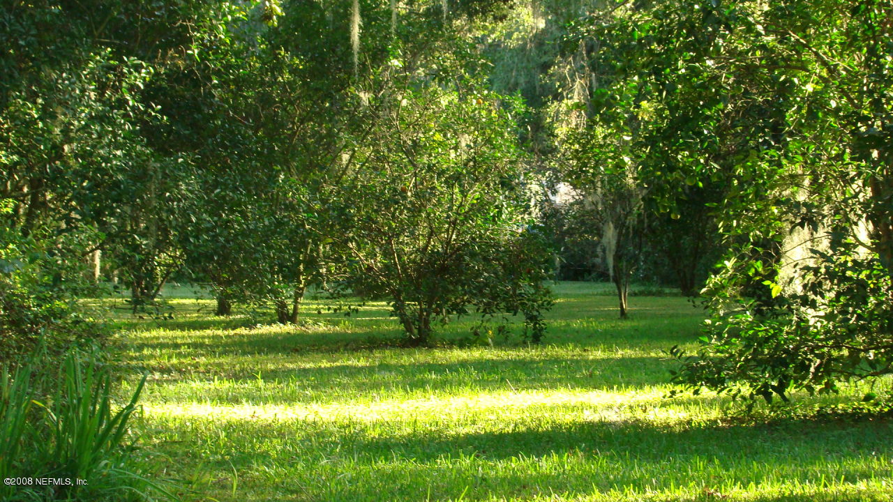 12380 Mandarin Road Jacksonville, FL 32223 - Photo 14 of 15 a view of a park with large trees