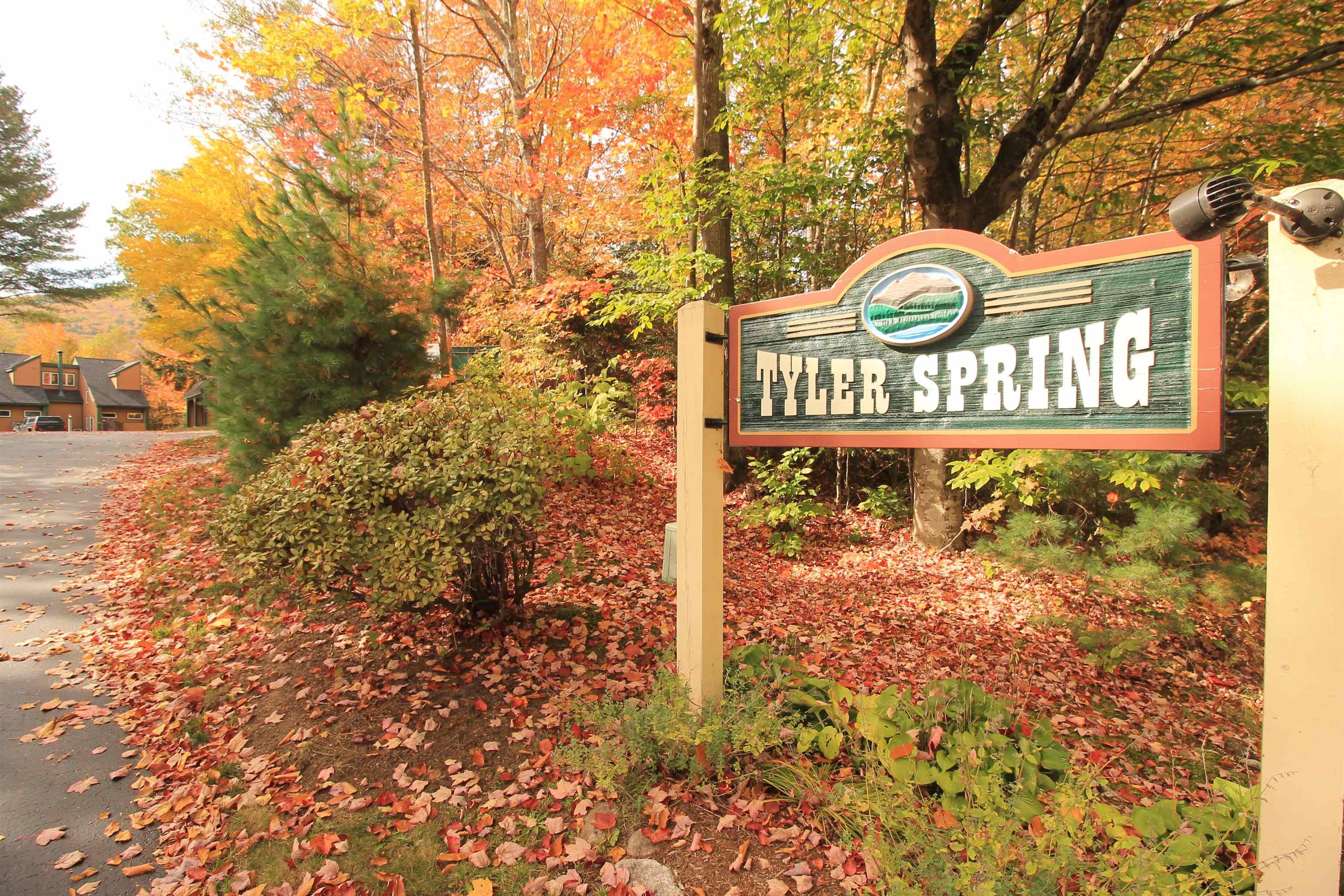 32 Tyler Spring Way, Unit 13 Waterville Valley, NH 03215 - Photo 22 of 24