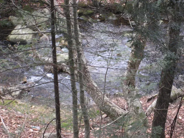 $2,800 | 32 Tyler Spring Way, Unit 13, Waterville Valley, NH 03215