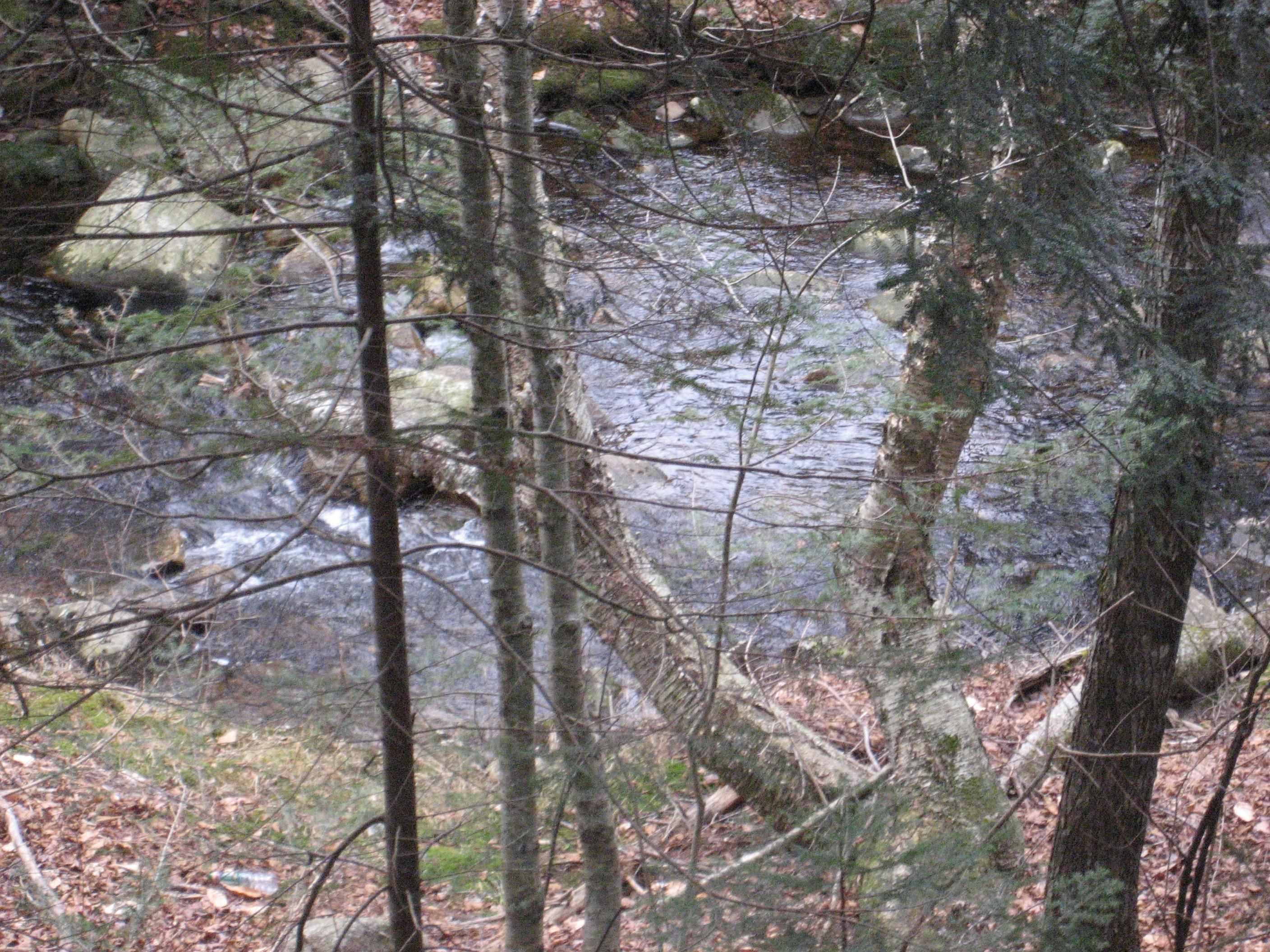 32 Tyler Spring Way, Unit 13 Waterville Valley, NH 03215 - Photo 8 of 24