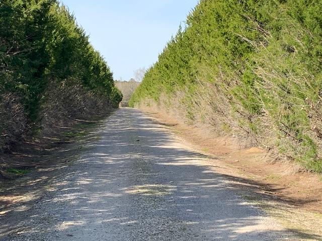 451 Better Built Way Ruffin, SC 29475 - Photo 5 of 57 BBW2