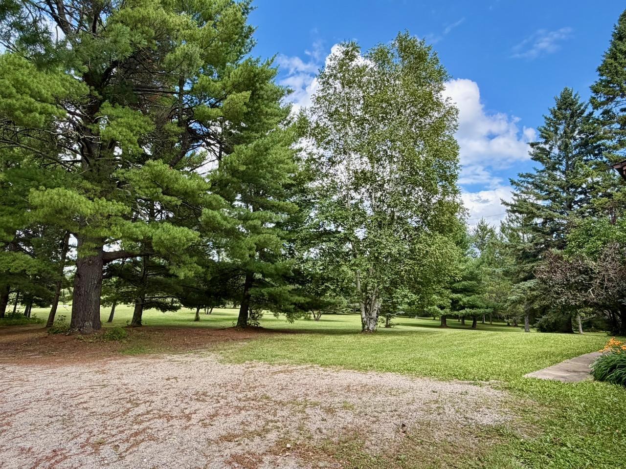 9774 Wien Road Cook, MN 55723 - Photo 40 of 80 Gallery Image 40