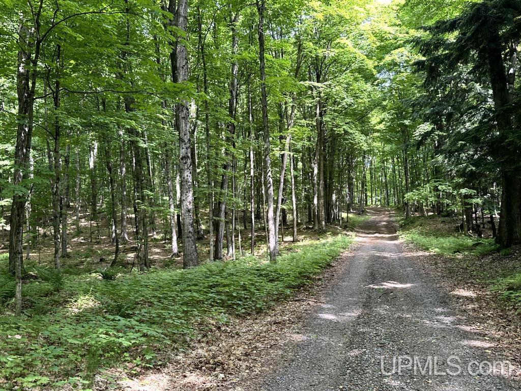 0 County Road 553 Road Marquette, MI 49855 - Photo 35 of 38