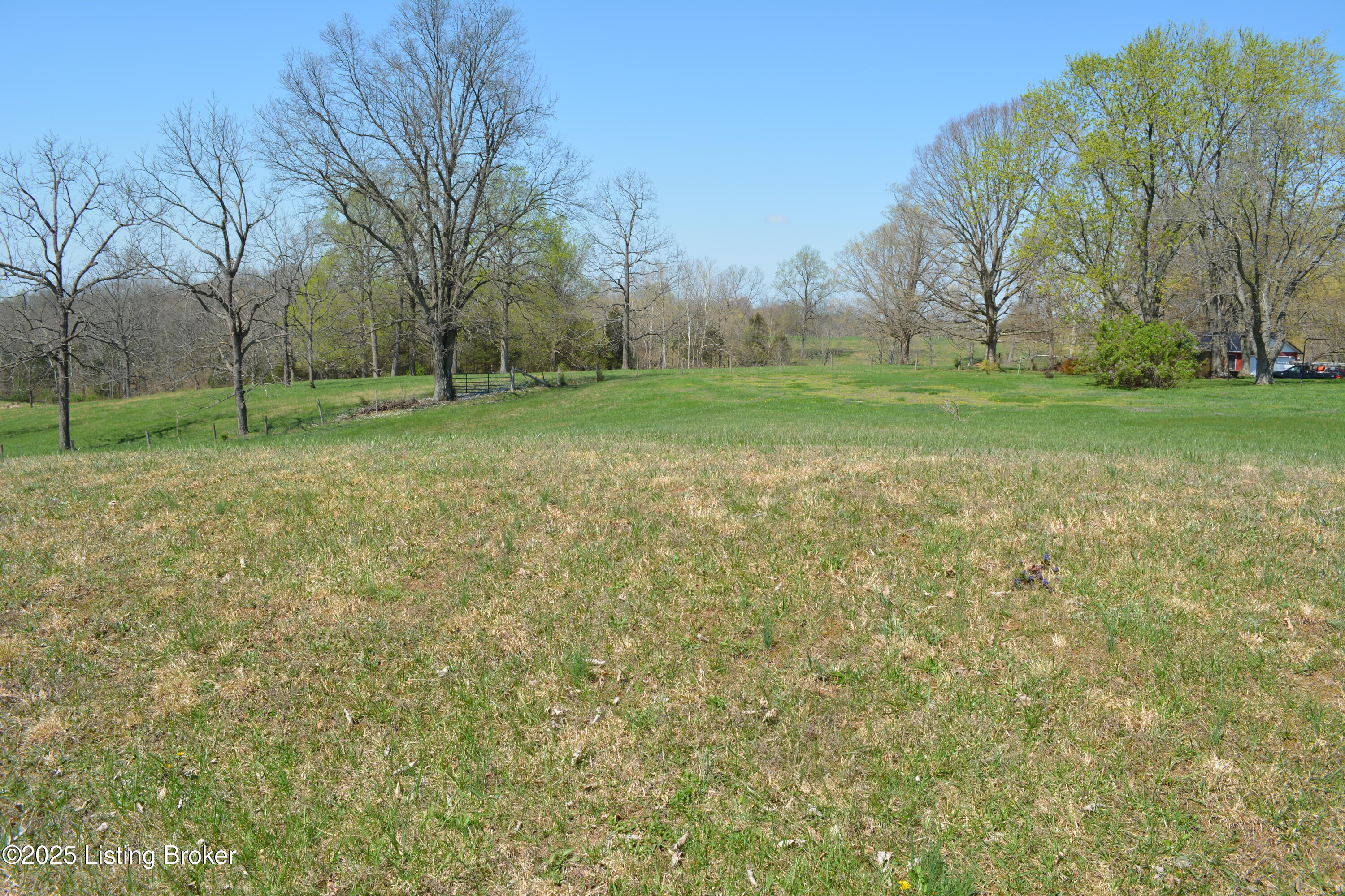 813 Joyce Ridge Road Milton, KY 40045 - Photo 52 of 67 DSC_5350
