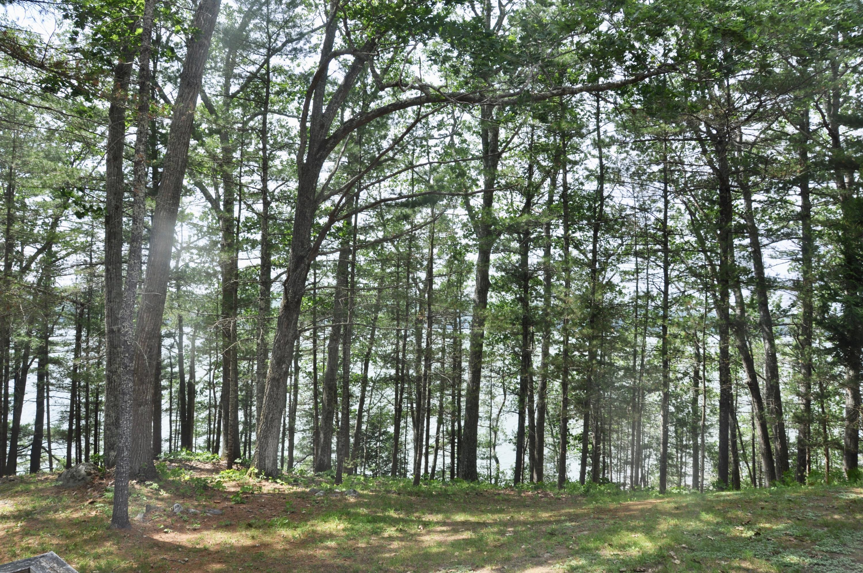 0 Island View Road Round Pond, ME 04564 - Photo 2 of 4 fullsizeoutput_a02