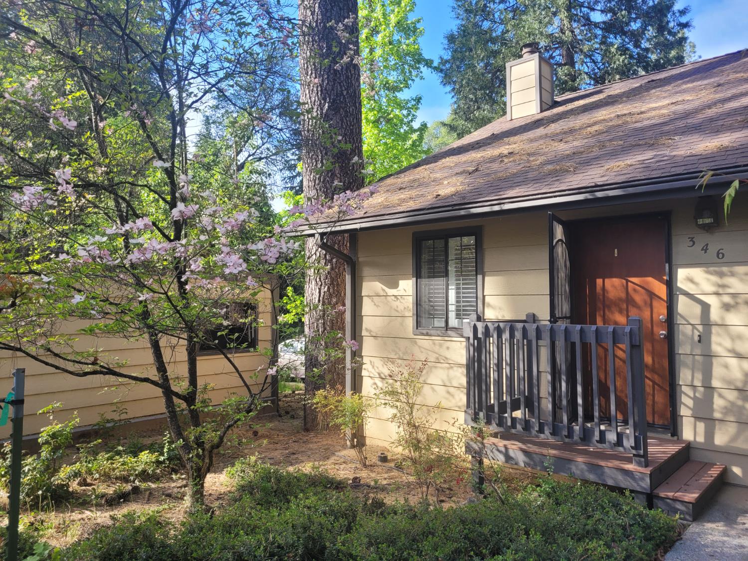 346 Gracie Road Nevada City, CA 95959 - Photo 60 of 66 a view of back yard of the house