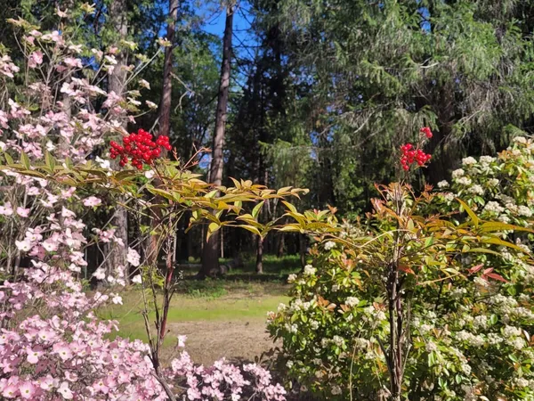 $349,000 | 346 Gracie Road, Nevada City, CA 95959