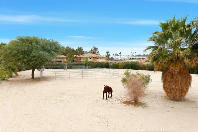 a view of a lake with a mountain
