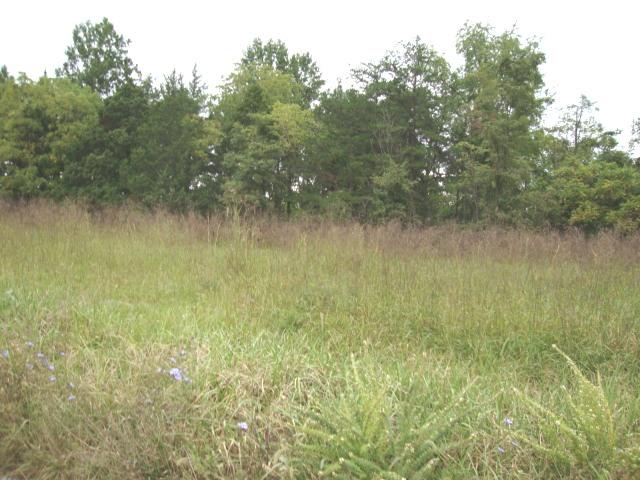 1803 Rucker Road Moneta, VA 24121 - Photo 3 of 6 Rucker Road