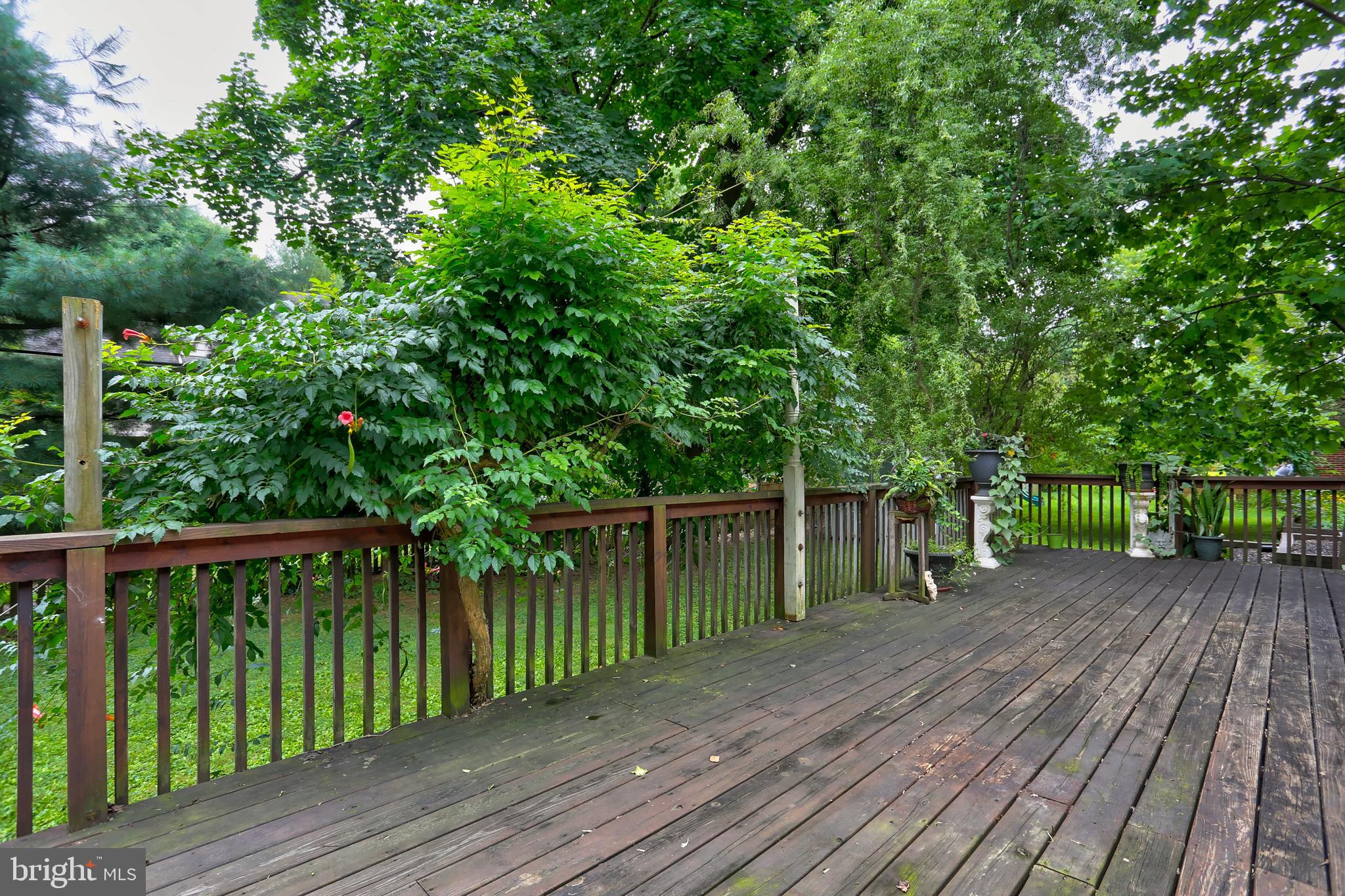974 Pleasure Road Lancaster, PA 17601 - Photo 20 of 22 Deck View
