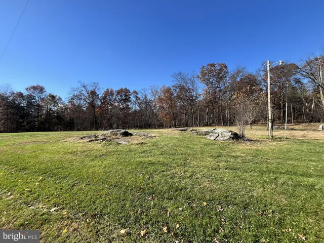 a view of a field with a tree