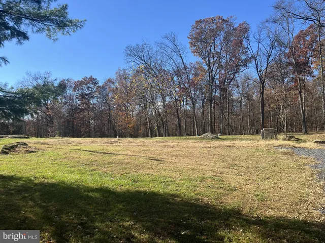 a view of a swimming pool with a yard