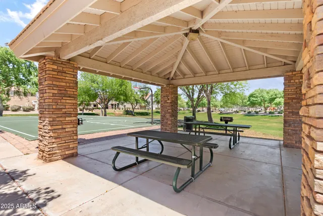 a view of a park with a large trees