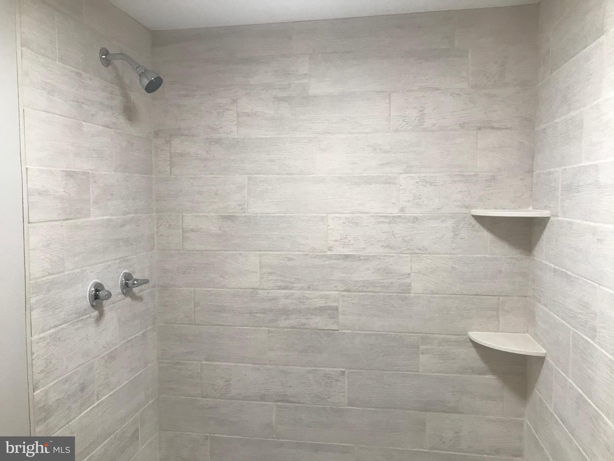 243 Spies Church Road Reading, PA 19606 - Photo 14 of 21 Master shower