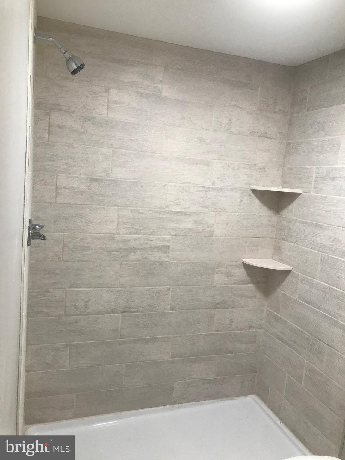 243 Spies Church Road Reading, PA 19606 - Photo 15 of 21 Master shower