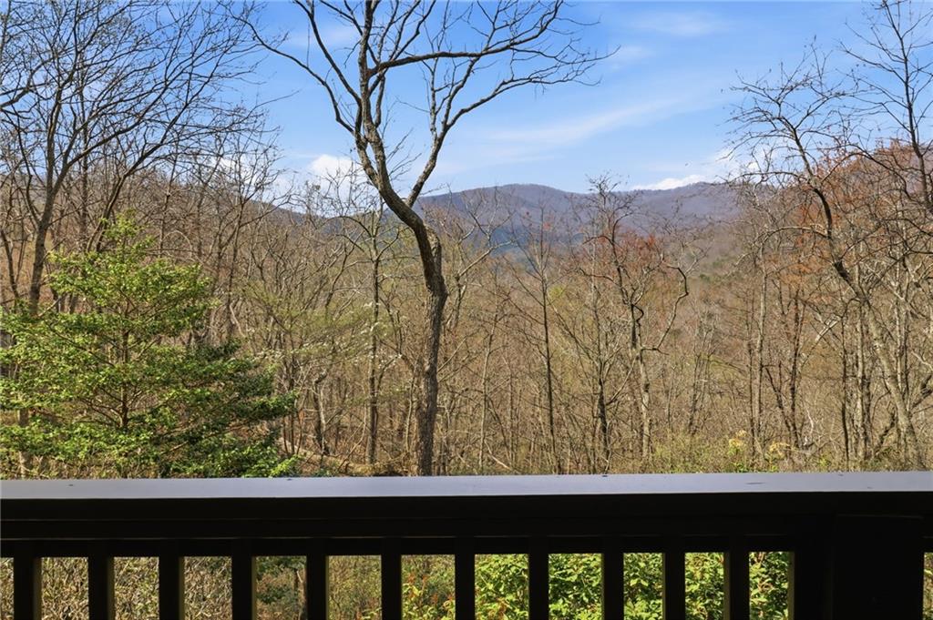 115 Chestnut Oak Point Big Canoe, GA 30143 - Photo 20 of 56