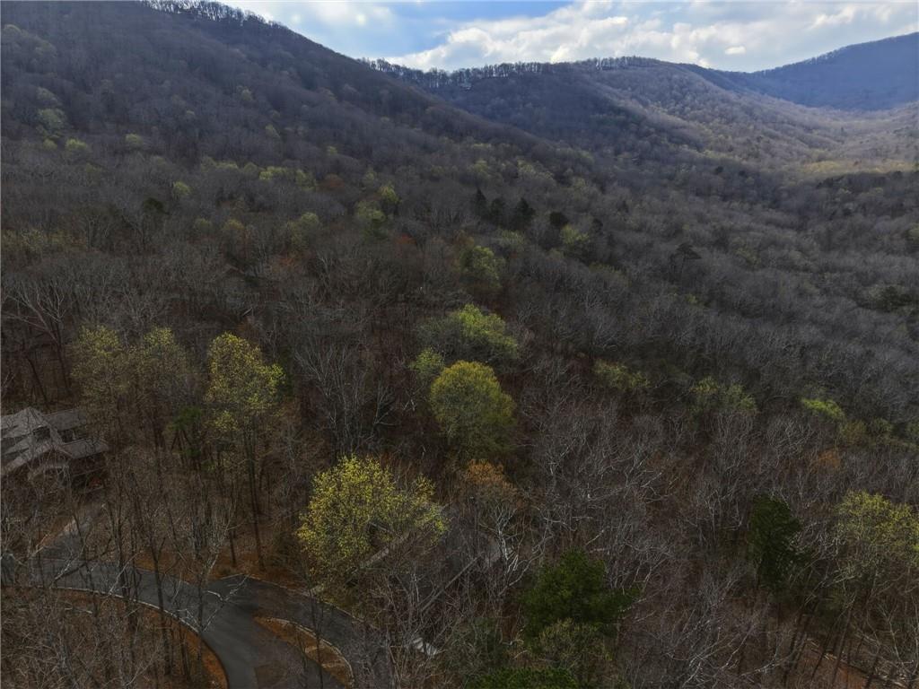 115 Chestnut Oak Point Big Canoe, GA 30143 - Photo 37 of 56 a view of a city with top of the house